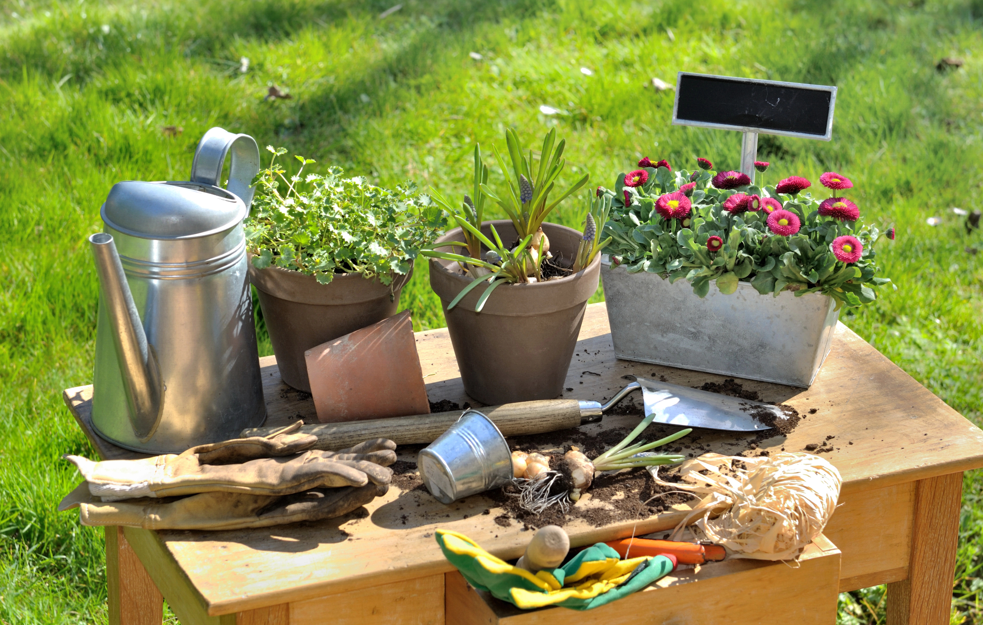 Dodatki za vrt vplivajo na občutek